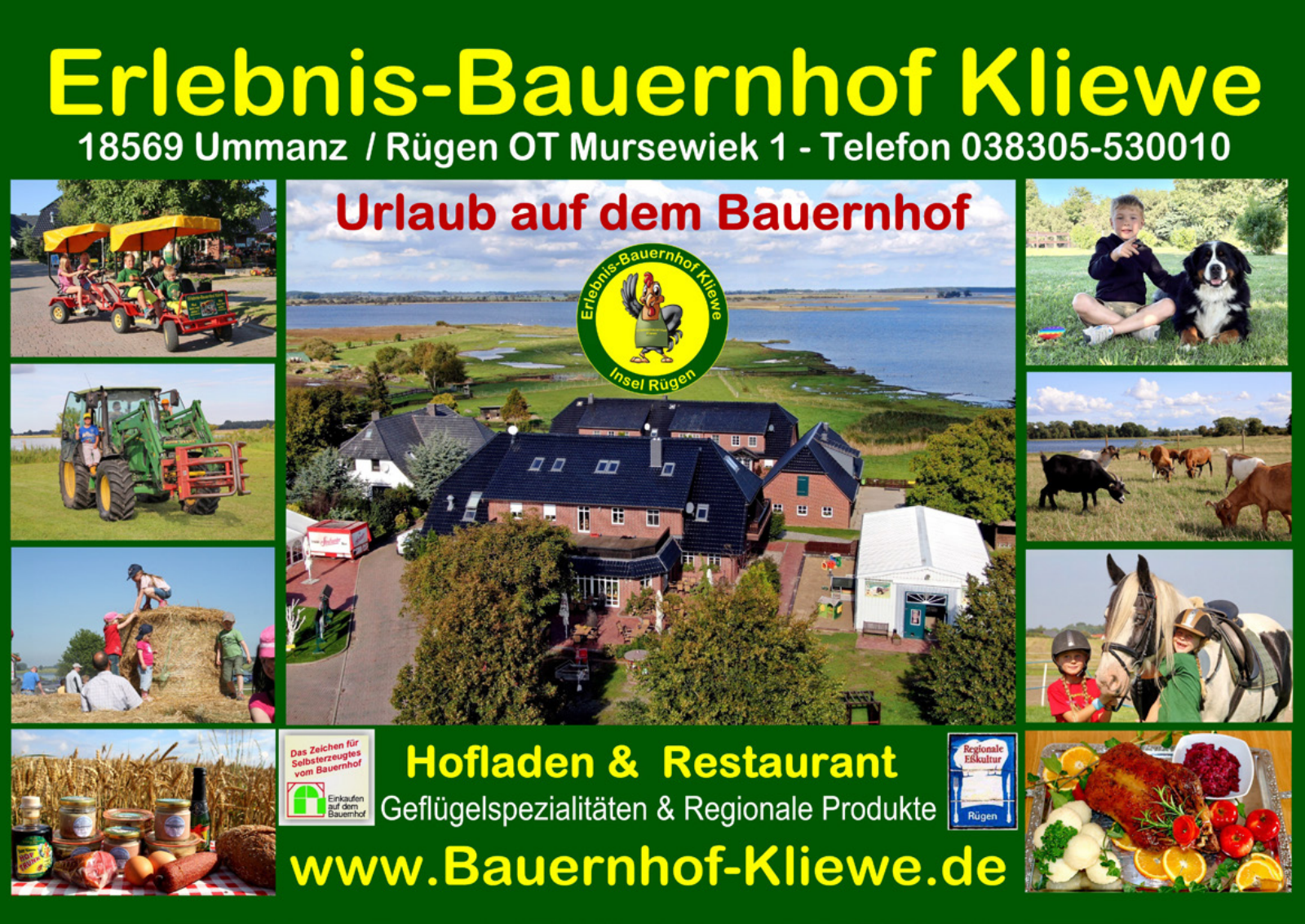 Vorschau Sunflower Rallye Seite 22